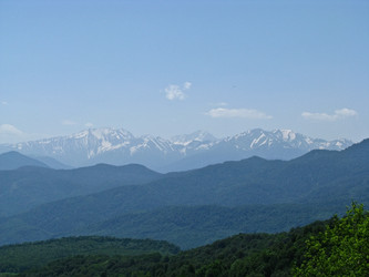 Similar image 1143166