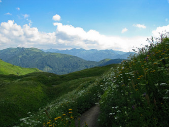 Similar image 1143169