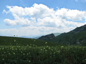 Similar image 1143173