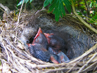 Similar image 1143177