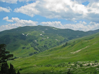 Similar image 1143179