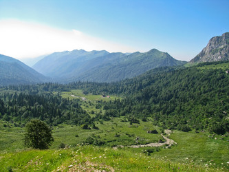 Similar image 1143186