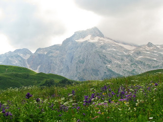 Similar image 1143191