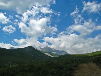 Similar image 1143192