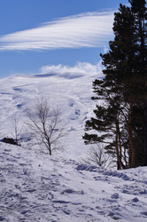 Similar image 1143194