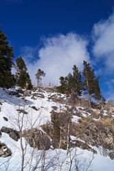 Similar image 1143196