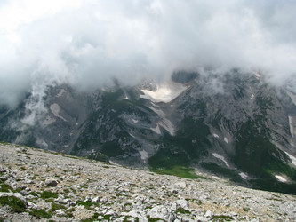 Similar image 1143205