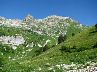 Similar image 1143206