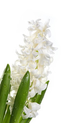 Similar image 1143211