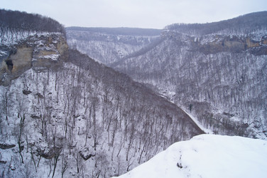 Similar image 1143214