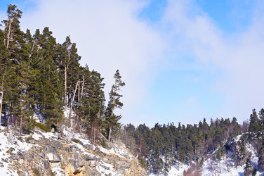 Similar image 1143217