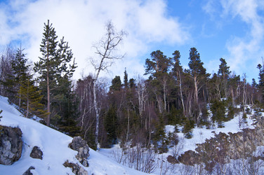 Similar image 1143216