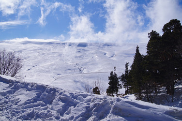 Similar image 1143218