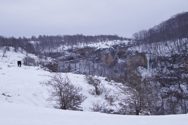 Similar image 1143234