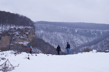 Similar image 1143240