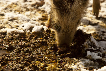 Similar image 1143277