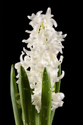 Similar image 1143283