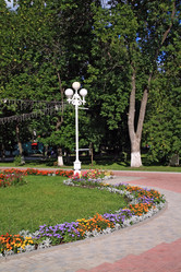 Similar image 1143355