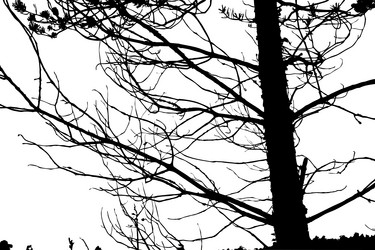 Similar image 1143376