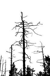 Similar image 1143383