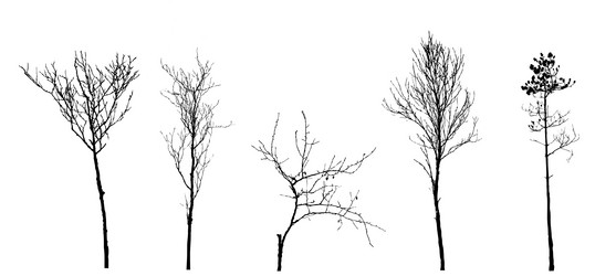 Similar image 1143385