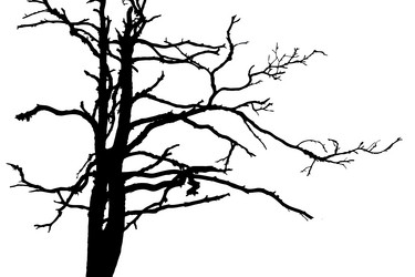 Similar image 1143393