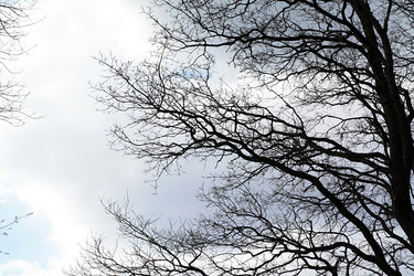 Similar image 1143401