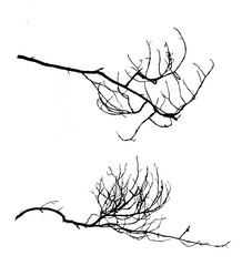 Similar image 1143413