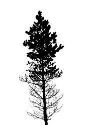 Similar image 1143416