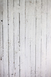 Similar image 1143484