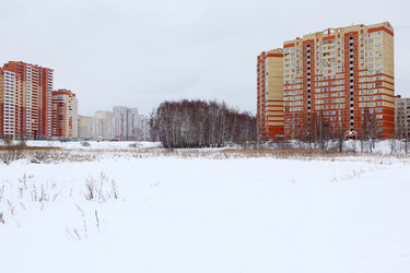 Similar image 1143498