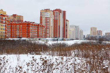 Similar image 1143499