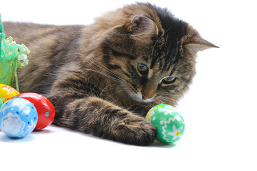 Similar image 1143520