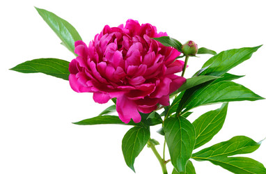 Similar image 1143521