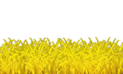 Similar image 1143526