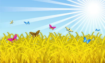 Similar image 1143527