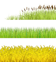 Similar image 1143529