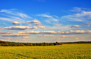 Similar image 1143548