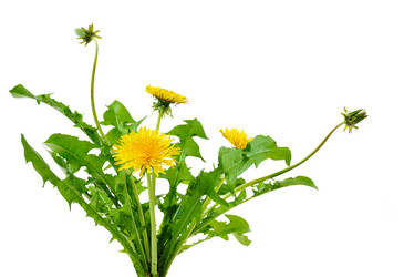 Similar image 1143552