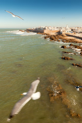 Similar image 1143583