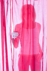 Similar image 1143649