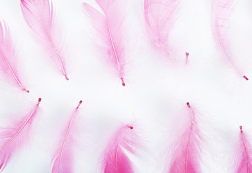 Similar image 1143828