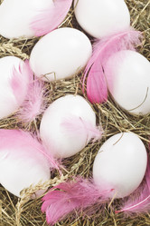 Similar image 1143830