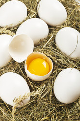 Similar image 1143832