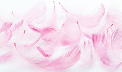 Similar image 1143840