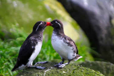 Similar image 1143843