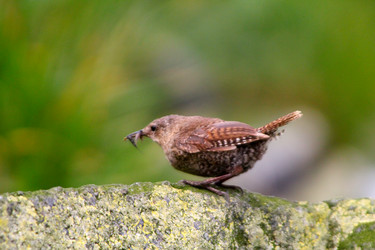 Similar image 1143845