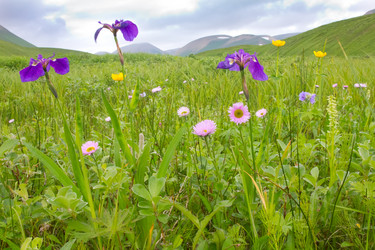 Similar image 1143857