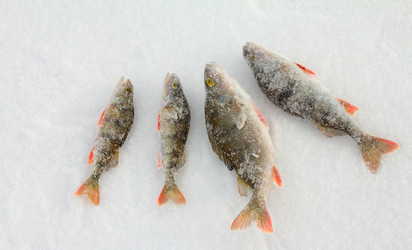 Similar image 1143858