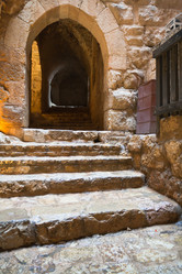 Similar image 1143943